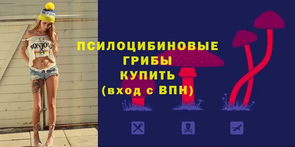 метадон Арсеньев