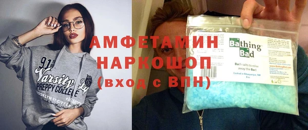 сатива Балахна