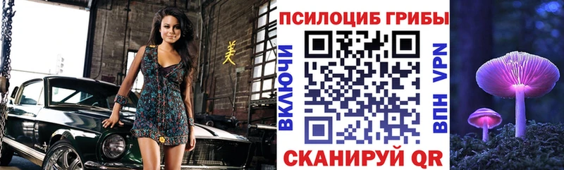 Галлюциногенные грибы Psilocybine cubensis  площадка какой сайт  Бежецк 