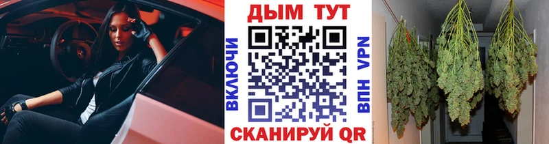 Конопля Amnesia  Бежецк 